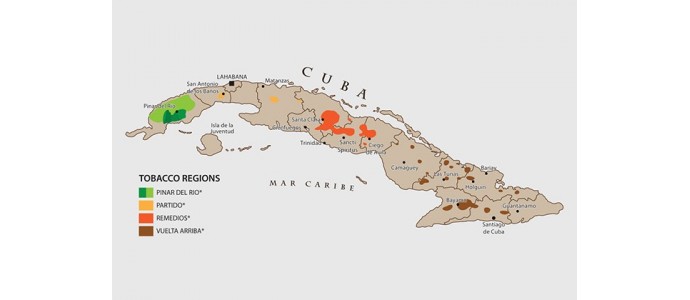 Cuban Plant Areas